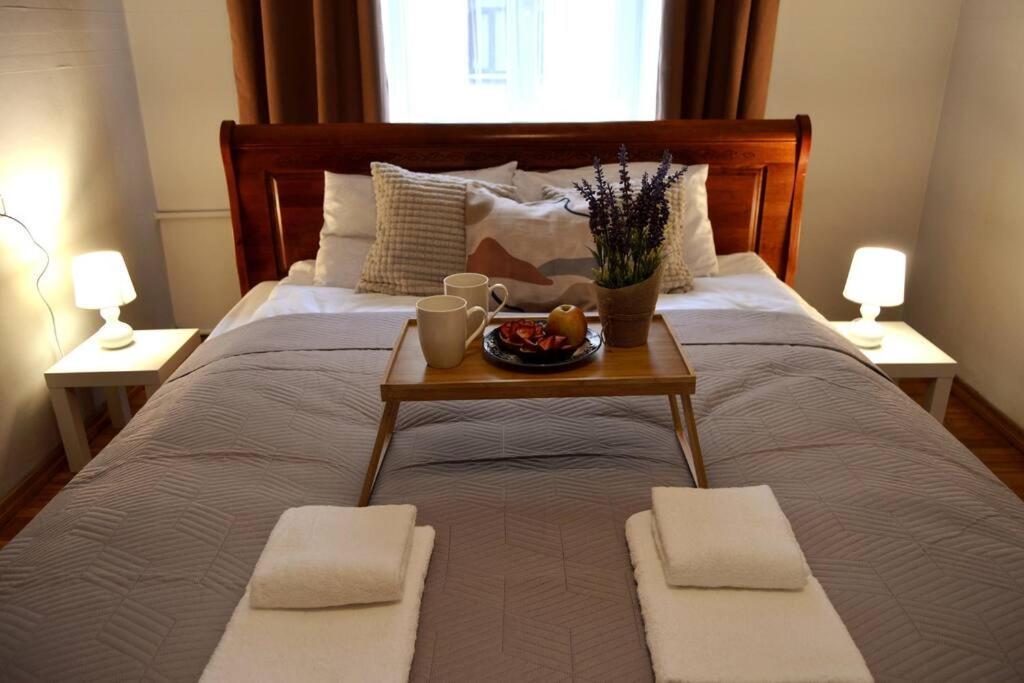 Unique Spacious Classic 3 Bedroom Midtown Apartment ! Billiard Room ! Riga Exteriör bild